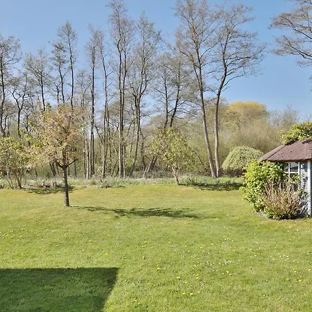 Ferienbungalow Erlenweg 20 Erlenweg 20 1 Ostsee *